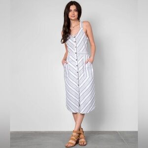 Buckle Rose and Grey Striped Button-Down Midi Dress